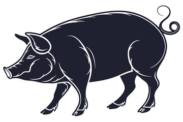 pig vector illustration