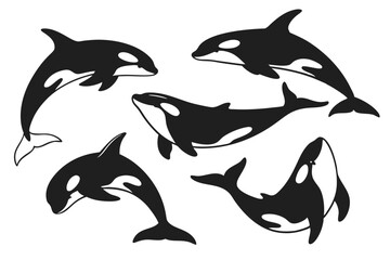 set of dolphins