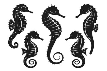 set of  dragon © tanvir