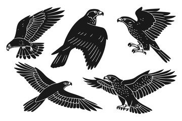 set of eagle