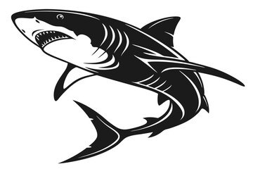 shark  vector illustration