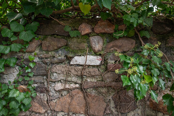 Paysages et Natures Mortes en automne 