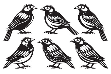 set of birds isolated