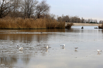 beautiful sunset over the sea
