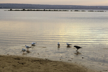 beautiful sunset over the sea
