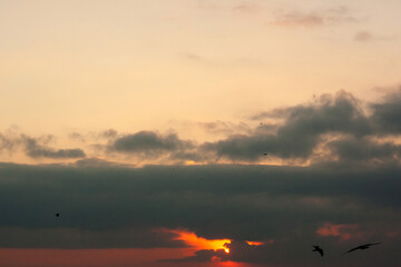 beautiful sunset over the sea