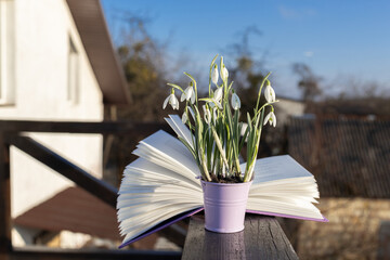 spring revival, flowers of early spring tender snowdrops in small bucket and open book against blue sky. Educational concept. Hello spring. I love books and nature. time for reading and inspiration © Anna