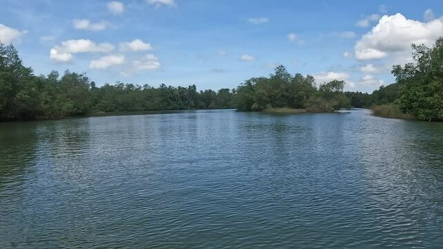 Serene Journeys: Exploring the Tranquil Backwaters of Honnavar, Gokarna, Karnataka, India in a boat. 4k Video Footage