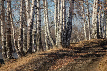 Obraz premium The outskirts of the village of Baranchinsky, Kushva, Ural.