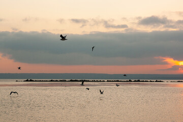 beautiful sunset over the sea