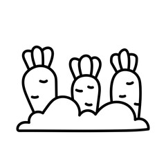 A bed with carrots, carrots in the ground. Black and white illustration, hand drawn coloring.