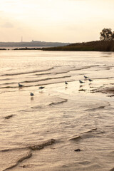 Golden reflections sunset serenity on the river
