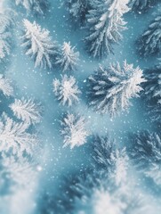 Obraz premium Snowy tree forest