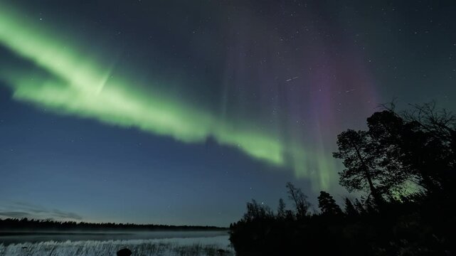 Green and purple auroras dancing above lakeshore