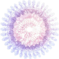 Creative 2D Doodle Floral Illustrations Text Space for Versatile Designs, Greeting Cards, Invitations