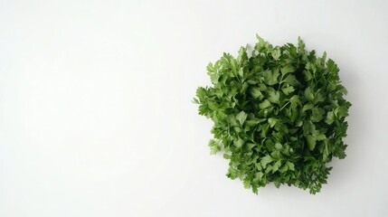 Obraz premium Square frame filled with fresh herbs on a clean white background, perfect for highlighting herbs while providing ample copy space for design elements or text.
