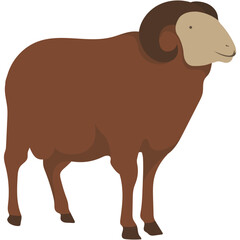 Eid al-Adha Sacrificial Animal. Islamic Sacrifial Animal.