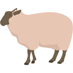 Eid al-Adha Sacrificial Animal. Islamic Sacrifial Animal.