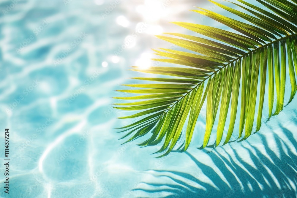 Poster a palm leaf floating on the surface of a swimming pool water, perfect for summer vibes and aquatic t