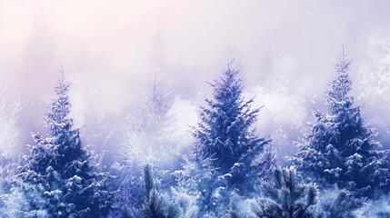 Winter forest enveloped in fog, with snow-covered branches adding a magical touch