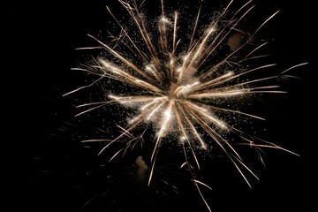 Fototapeta premium White Fireworks. Stunning Celebration of New Year with Colorful Night Display