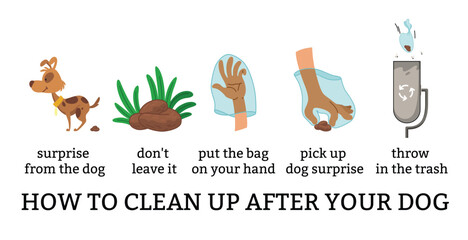 Dog poo clean up steps infographic set. Vector poster about hygiene animal, toilet cleaning information after your dog. Pick up poo after pets, picking waste in canine bag and throw in the trash