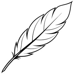 Fototapeta premium Softly Detailed Floating Feather Vector