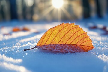 Golden leaf resting on a blanket of snow during a serene winter morning with sunlight