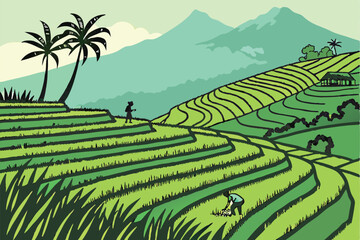 rice terraces bali indonesia
