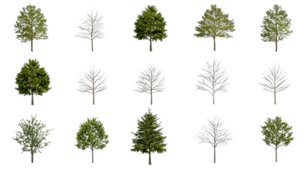 Elegant tree pattern on white, seamless natureinspired design for background, wallpaper, or art