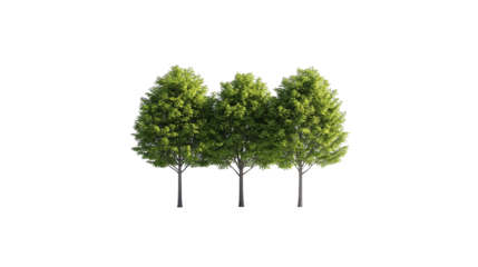 Striking tree silhouette against a purple sky, captivating nature wallpaper for desktop and mobile