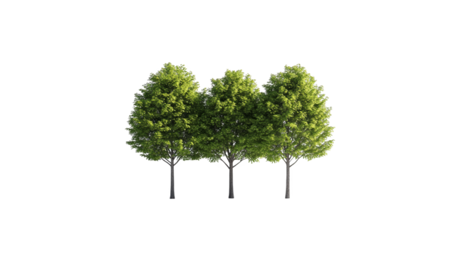 Striking tree silhouette against a purple sky, captivating nature wallpaper for desktop and mobile