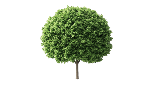 Serene pastoral scene, a fluffy sheep grazes peacefully beneath lush green tree in sunny meadow