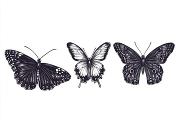 Naklejka premium Close-up of three black and white butterflies on a white background