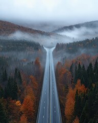 Serene Road Through Autumn Forest with Misty Mountains in Background, Capturing the Tranquility of Nature's Beauty on a Foggy Day