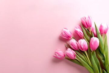 Fototapeta premium Rosa Tulpen vor farbigem Hintergrund 