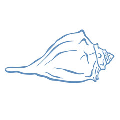 Line Art Illustration of Shell. Vector Graphic.