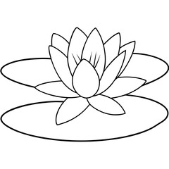 Water Lily on a Pond - Vector Art