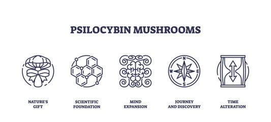 Psilocybin mushrooms icons symbolize natures gift, scientific foundation, and mind expansion. Outline icons set.