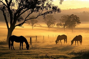 Fototapeta premium Horses enjoy morning grazing amidst misty fields and trees