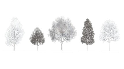 Minimal style CAD tree line drawing, side view, a set of graphic tree elements with outline symbols for architecture and landscape design