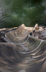 Slider ramp down surrounded by nature for Playing in the stream. use it as your Wallpaper, Poster...