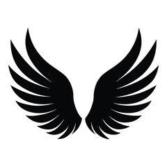 wings vector illustration