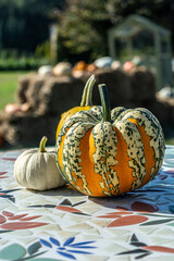 Pumpkin Farmers Market. Pumpkins lying on straw. Autumn decor. 