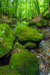 Fototapeta premium Small stream, waterfall and undergrowth of the Tarn in the Commune of Lamontélarié in France