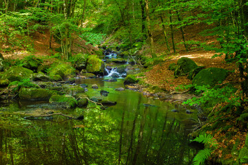 Small stream, waterfall and undergrowth of the Tarn in the Commune of Lamontélarié in France