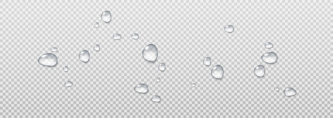 Realistic vector water drops png on a transparent light background. Water condensation on the surface with light reflection and realistic shadow. 3d vector illustration
