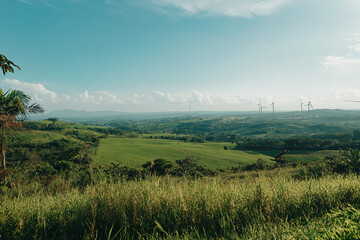 Fototapeta premium A panoramic view of vast green fields with wind turbines in the distance under a clear sky capturing sustainable countryside life 