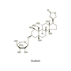 Ouabain flat skeletal molecular structure Digitalis Glycoside drug used in heart failure treatment. Vector illustration scientific diagram.
