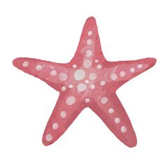 Starfish oil painting